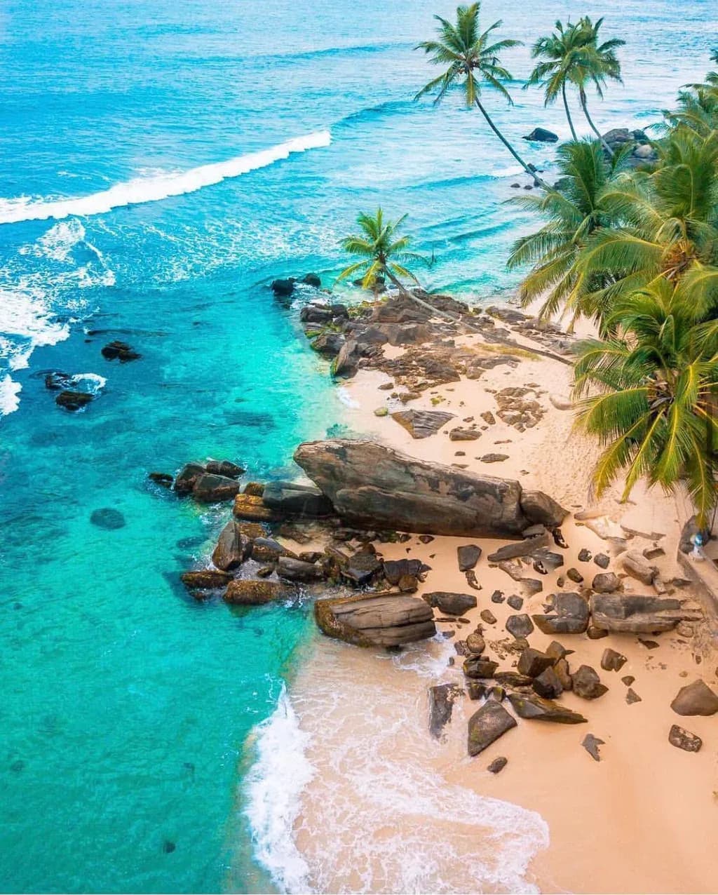 Pristine sandy palm-fringed beach in Sri Lanka