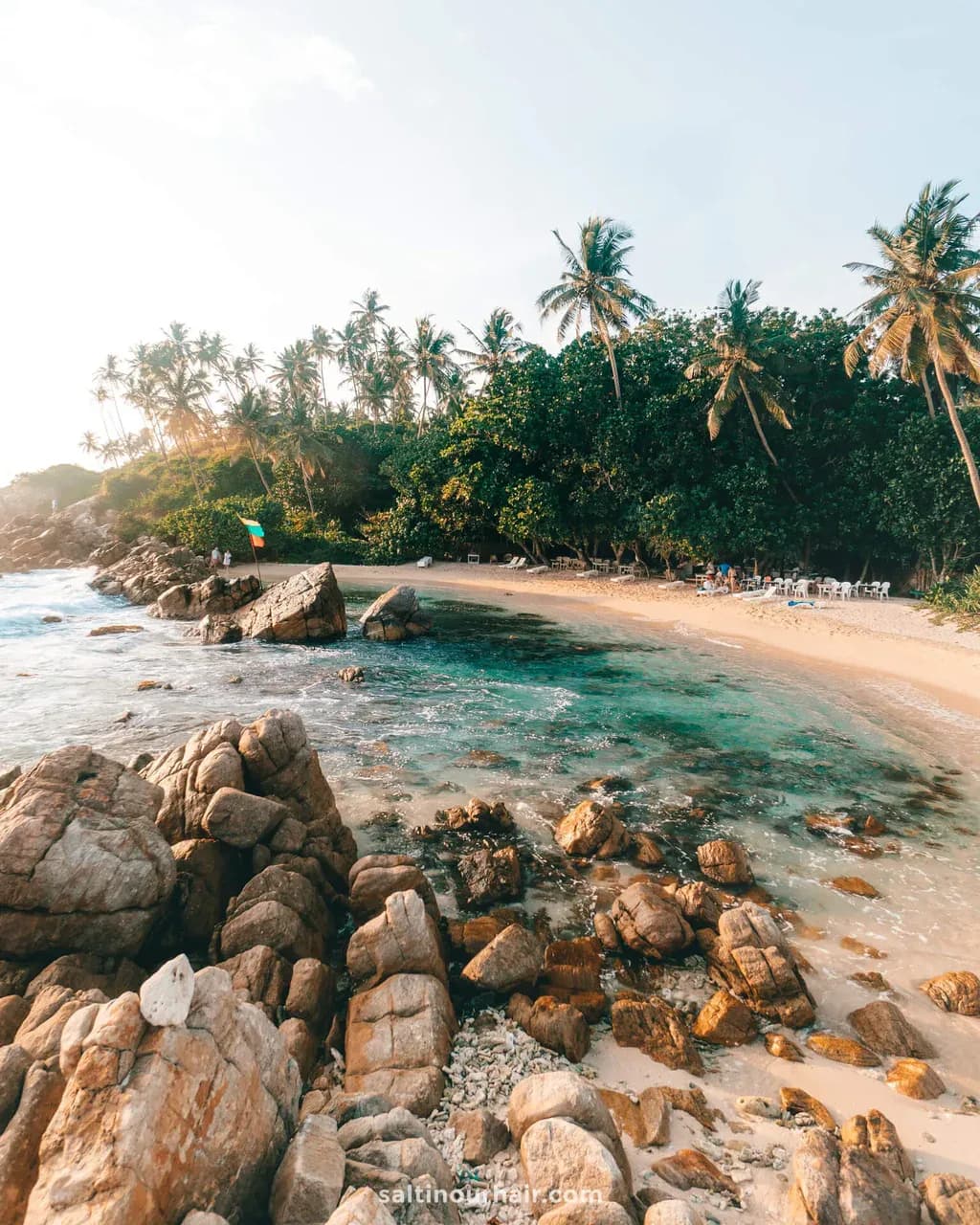 Beautiful palm-lined coastline at Mirissa Beach visited during a private Sri Lanka tour.