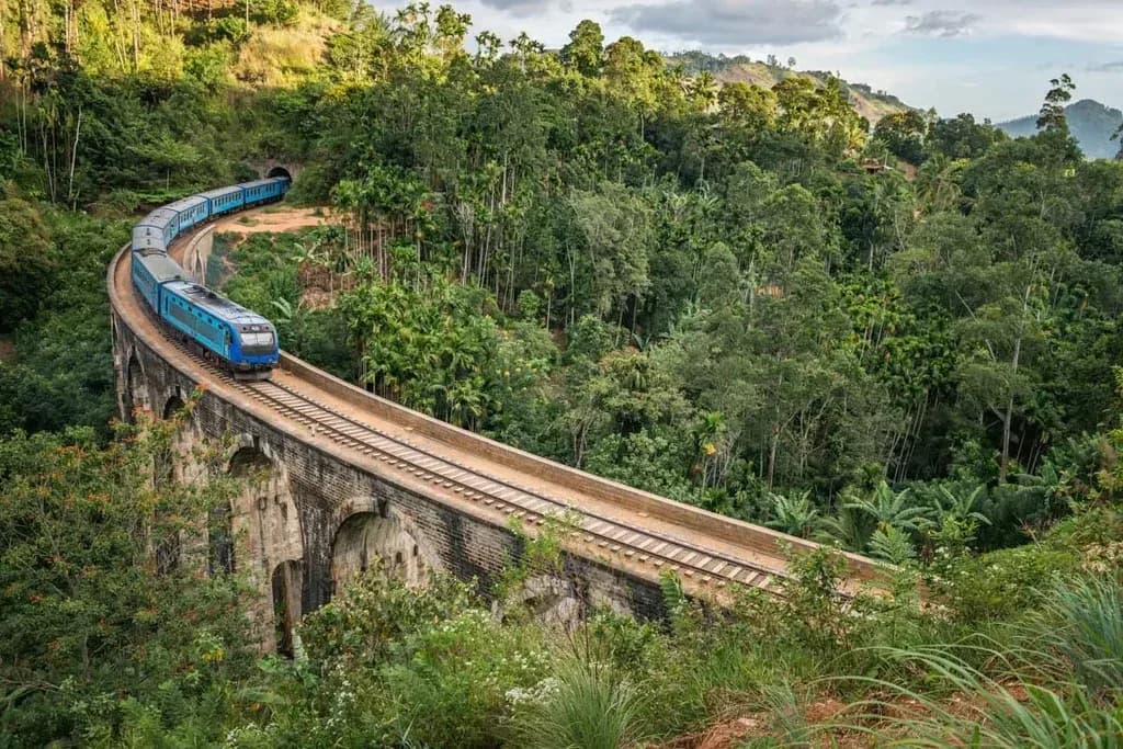 Tourists enjoying a Yala National Park safari during a private driver tour in Sri Lanka.