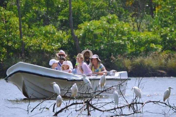 Tourists enjoying a Yala National Park safari during a private driver tour in Sri Lanka.