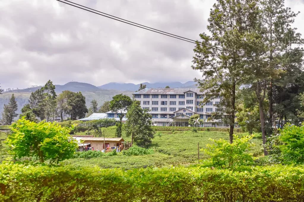 Tourists visiting Labookellie tea plantation viewpoint in Nuwara Eliya, Sri Lanka.