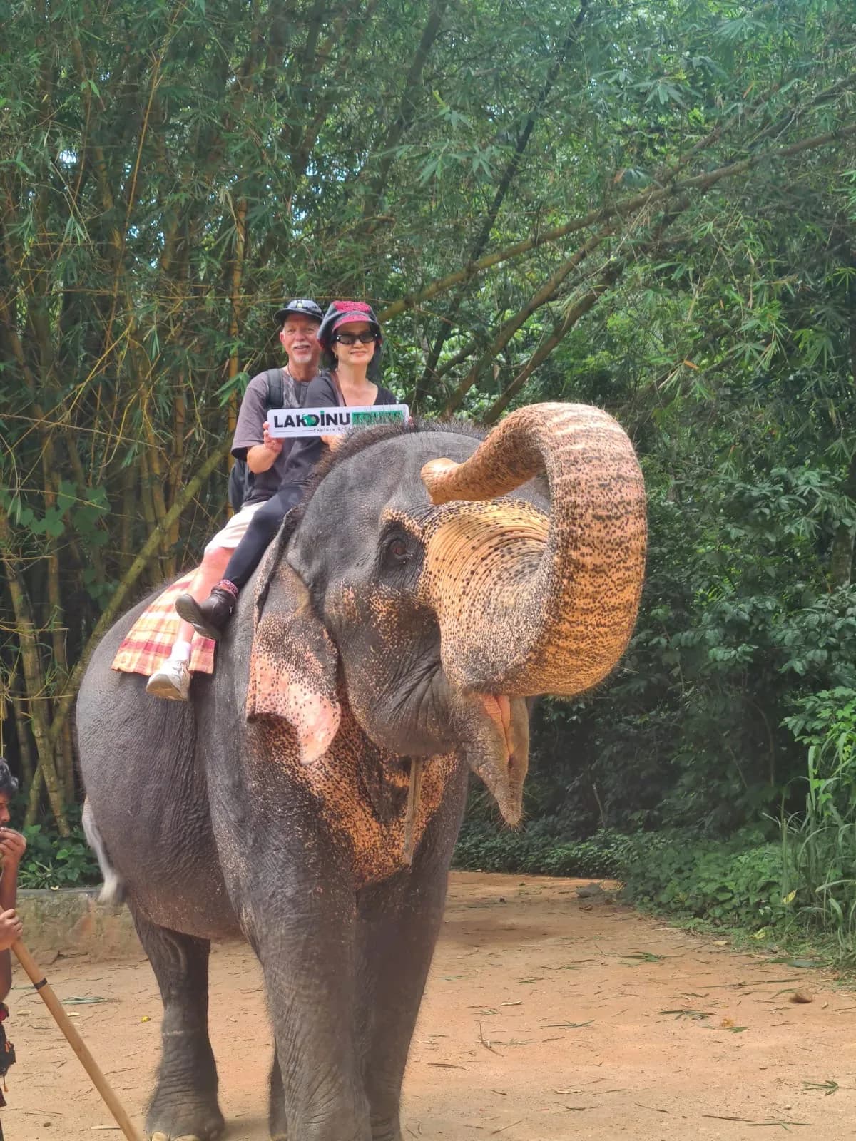 Travelers observing wild elephants on a safari tour in Sri Lanka.