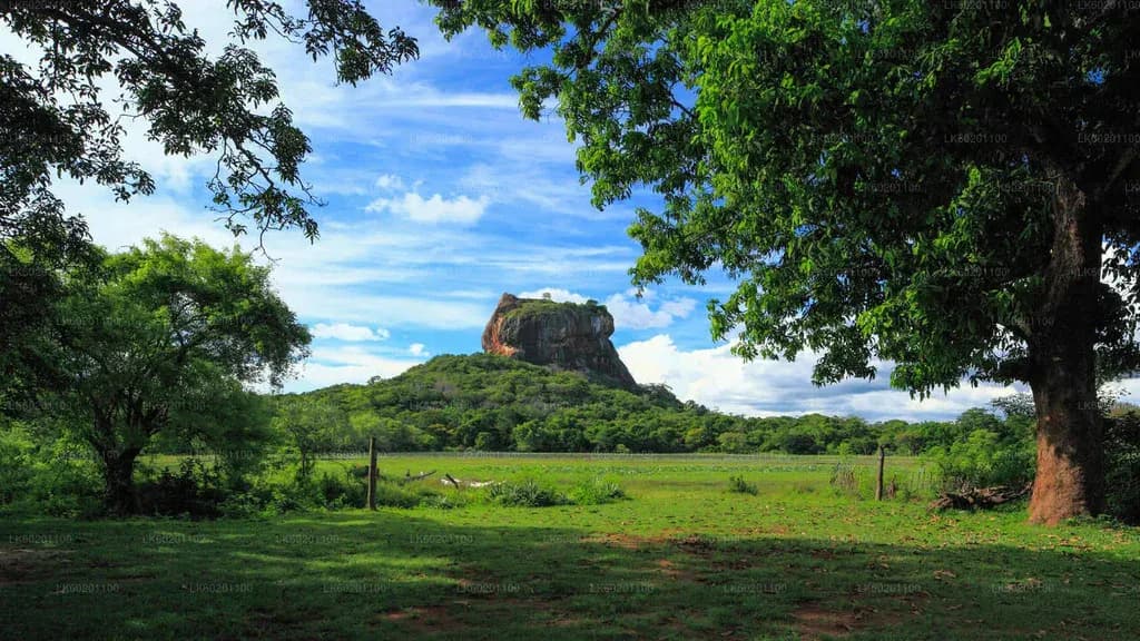 Travelers enjoying a scenic island road trip with a private car driver in Sri Lanka.