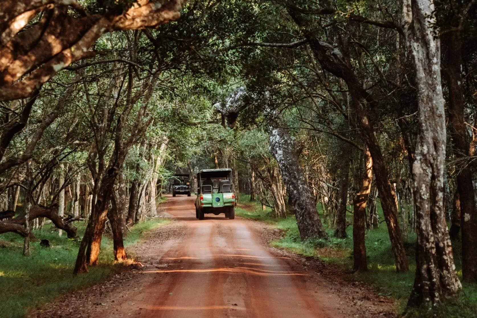 Family exploring Sigiriya Rock and Pidurangala with a private driver in Sri Lanka.