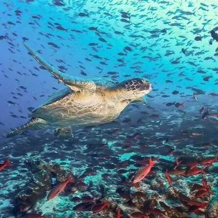 Discover Sri Lanka - 10 Days