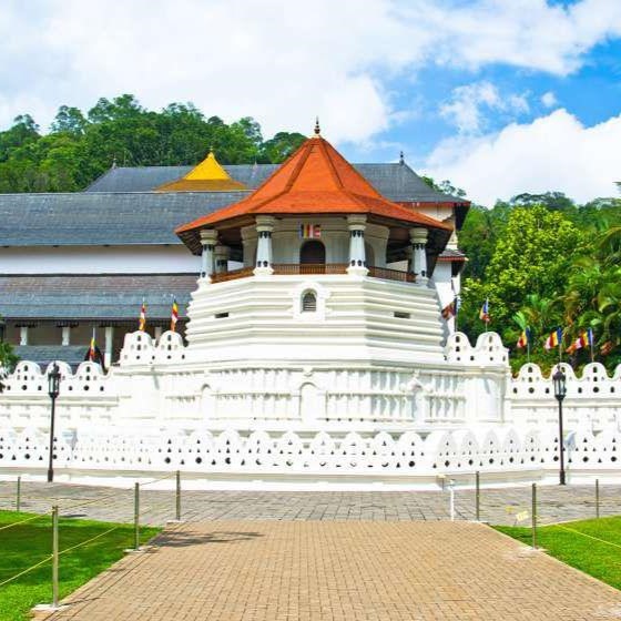 Kandy 1 1